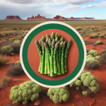 Outback Asparagus